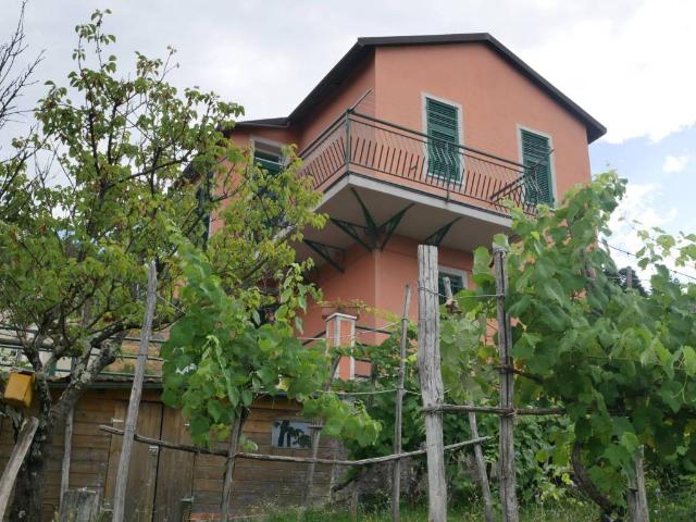 Casa indipendente in vendita a Carro SP