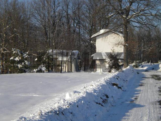 Casa indipendente in vendita a Casina RE