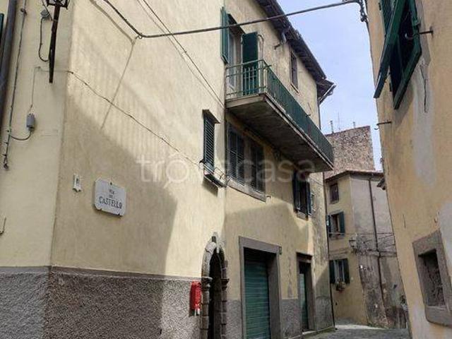 Casa indipendente in vendita a Castel del Piano