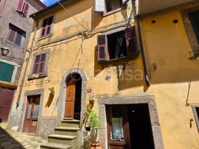 Casa indipendente in vendita a Castel del Piano via Nerucci, 32