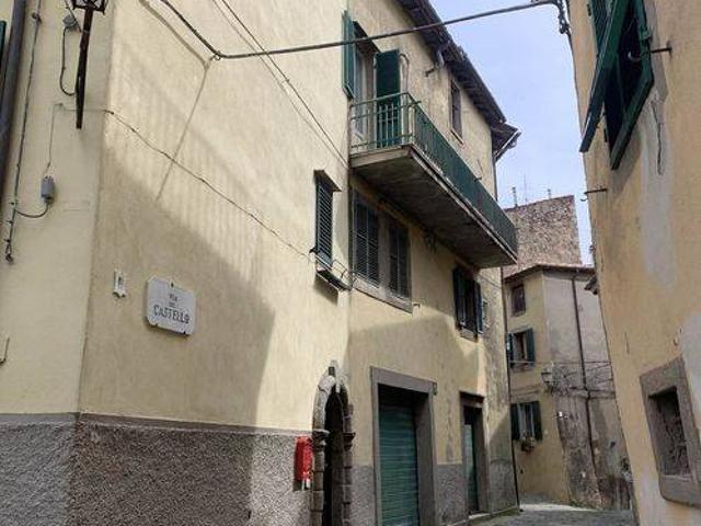 Casa indipendente in vendita a Castel del Piano GR