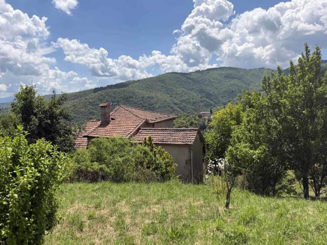 Casa indipendente in vendita a Castel San Niccolò AR