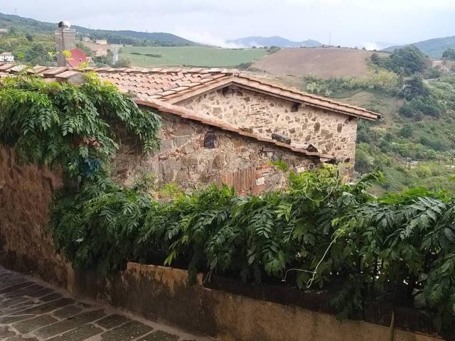 Casa indipendente in vendita a Castelnuovo di Val di Cecina PI