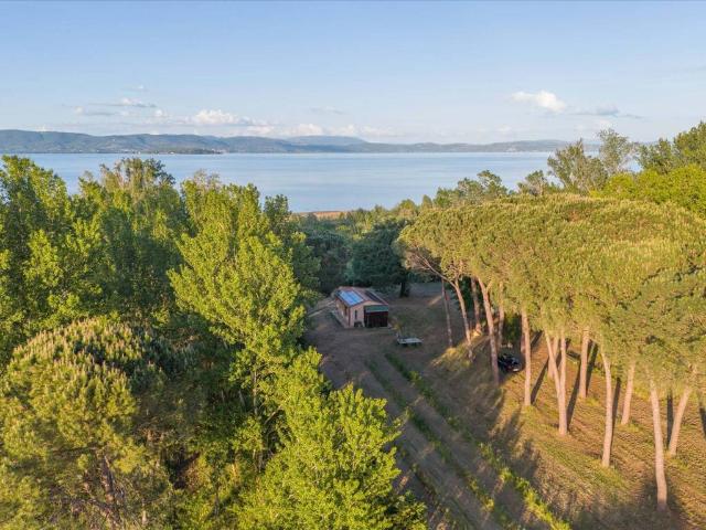 Casa indipendente in vendita a Castiglione del Lago PG