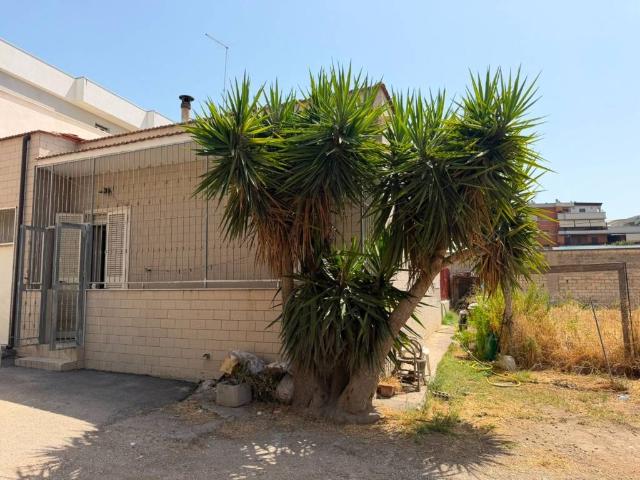 Casa indipendente in vendita a Cerignola FG