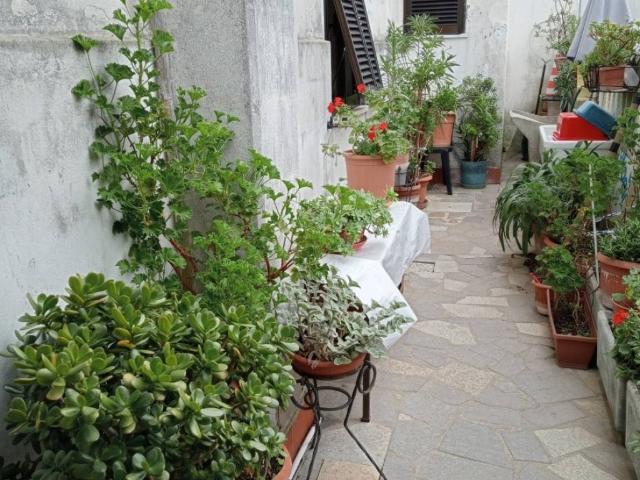 Casa indipendente in vendita a Ameglia SP