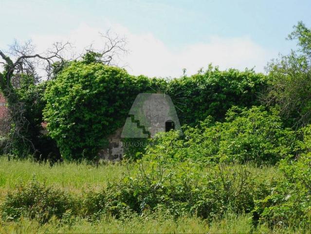 Casa indipendente in vendita a Alessano LE