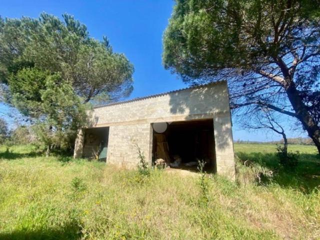 Casa indipendente in vendita a Alghero SS
