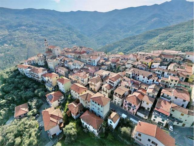 Casa indipendente in vendita a Aurigo IM