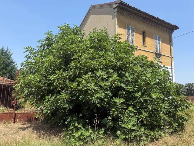 Casa indipendente in vendita a Bosco Marengo
