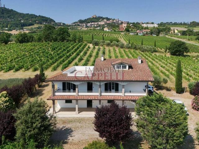 Casa indipendente in vendita a Bertinoro FC