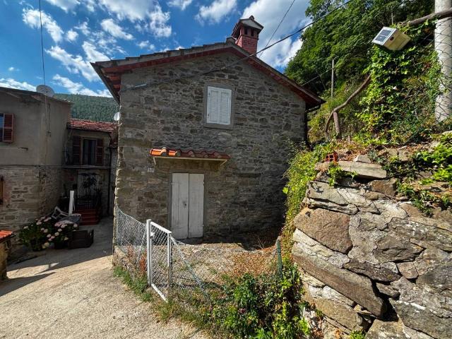 Casa indipendente in vendita a Bibbiena AR