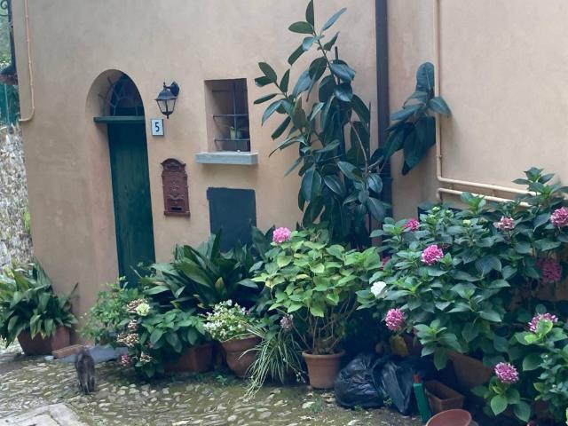 Casa indipendente in vendita a Brisighella RA