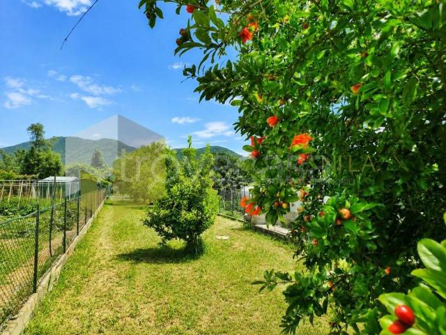 Casa indipendente in vendita a Gello, San Giuliano Terme