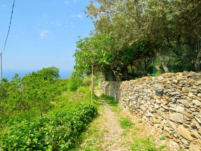 Casa indipendente in vendita a Genova GE