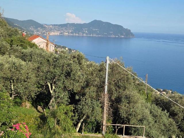 Casa indipendente in vendita a Genova GE