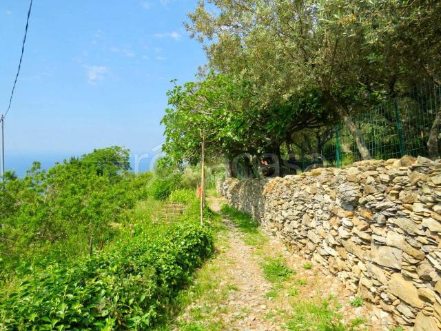 Casa indipendente in vendita a Genova via Cianà, Sant'Ilario
