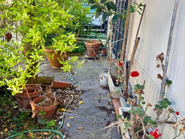 Casa indipendente in vendita a Empoli FI