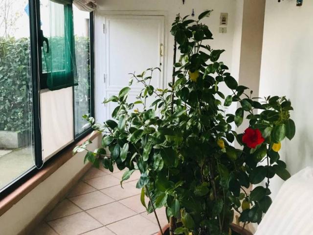 Casa indipendente in vendita a Empoli FI