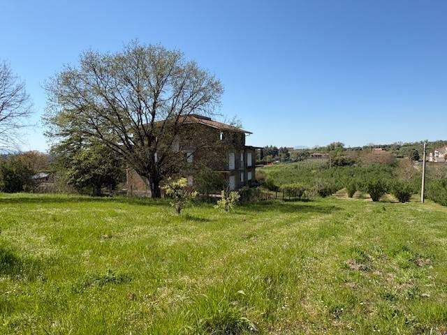Casa indipendente in vendita a Faleria VT