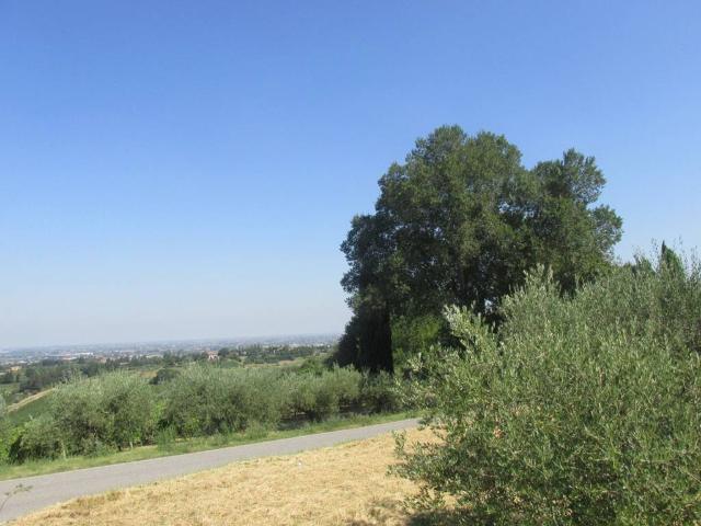 Casa indipendente in vendita a Longiano FC