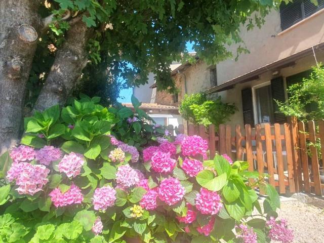 Casa indipendente in vendita a Lugagnano Val d'Arda PC