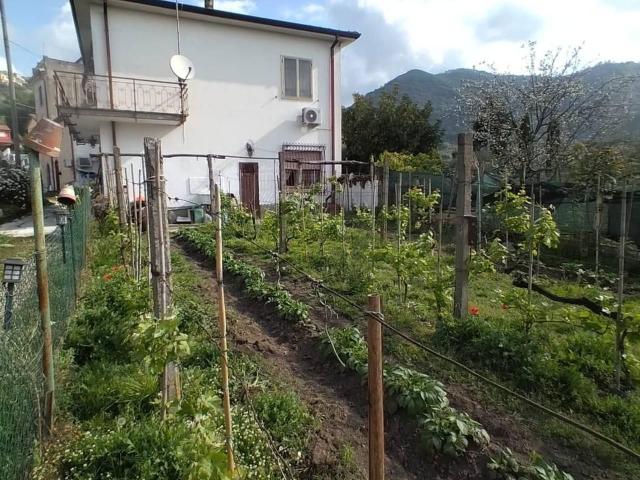 Casa indipendente in vendita a Luni