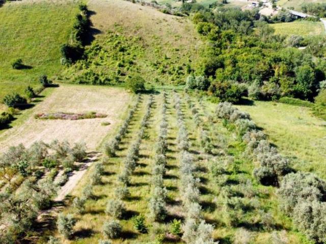 Casa indipendente in vendita a Monsampolo del Tronto