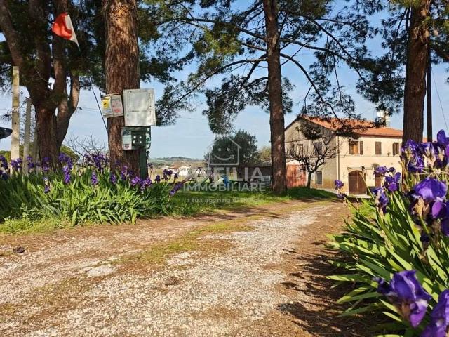 Casa indipendente in vendita a Monsano AN