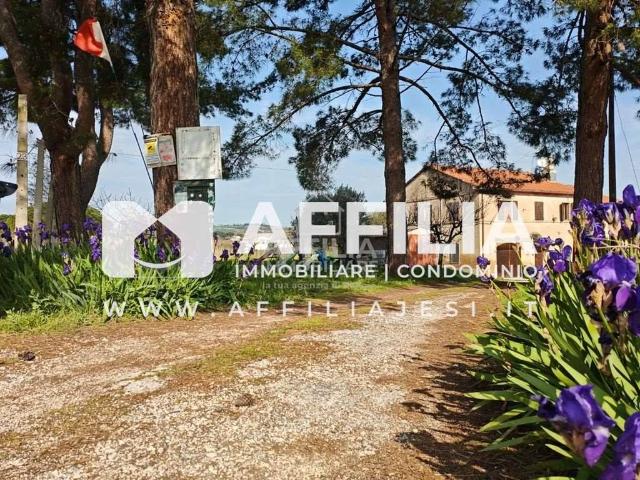 Casa indipendente in vendita a Monsano AN