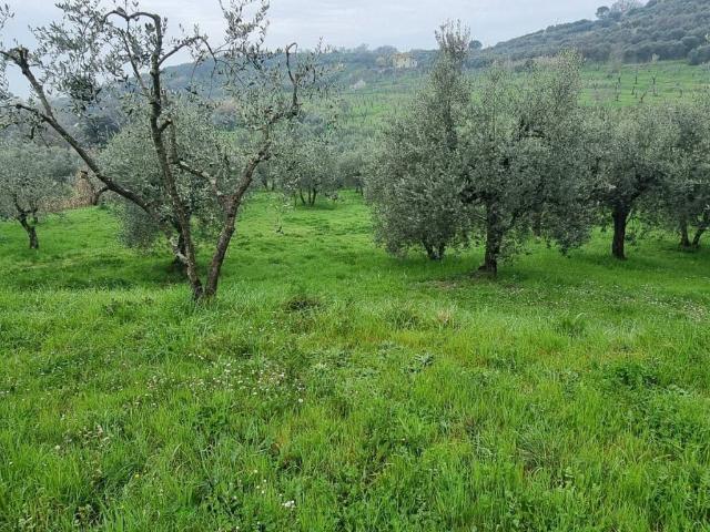 Casa indipendente in vendita a Monsummano Terme PT