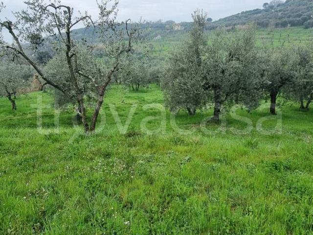 Casa indipendente in vendita a Montevettolini, Monsummano Terme