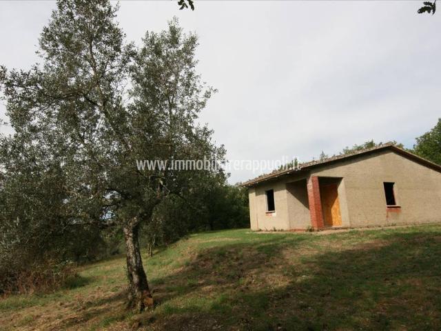Casa indipendente in vendita a Monte San Savino AR