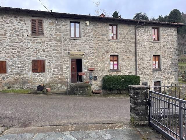 Casa indipendente in vendita a Montemignaio AR