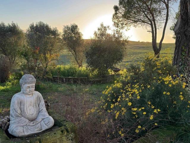 Casa indipendente in vendita a Manciano, Montemerano