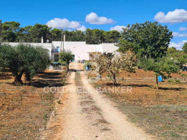 Casa indipendente in vendita a Martina Franca