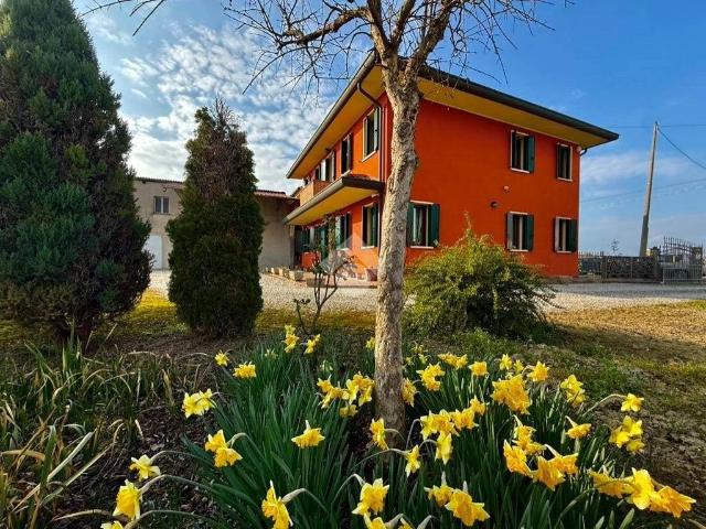 Casa indipendente in vendita a Mestrino v. Pelosa, 35