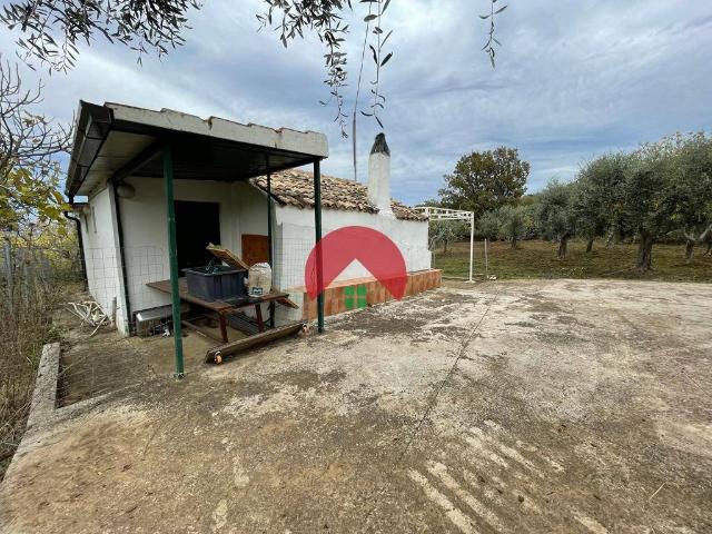 Casa indipendente in vendita a Miglionico MT