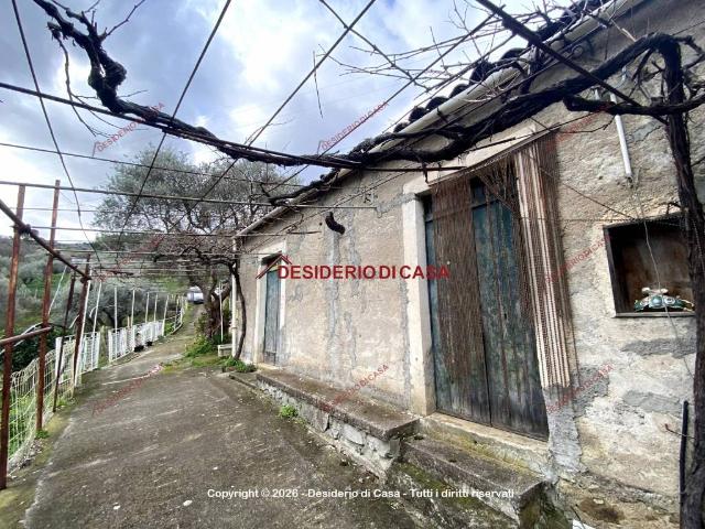 Casa indipendente in vendita a Militello Rosmarino ME