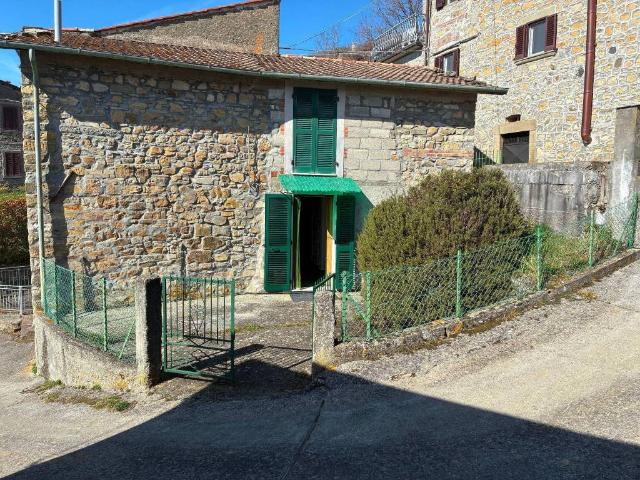 Casa indipendente in vendita a Minucciano LU