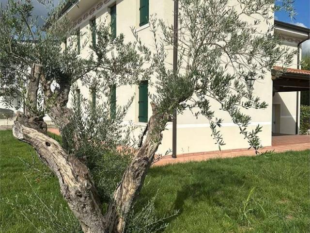 Casa indipendente in vendita a Mira VE