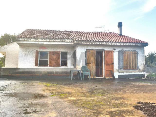 Casa indipendente in vendita a Sorso