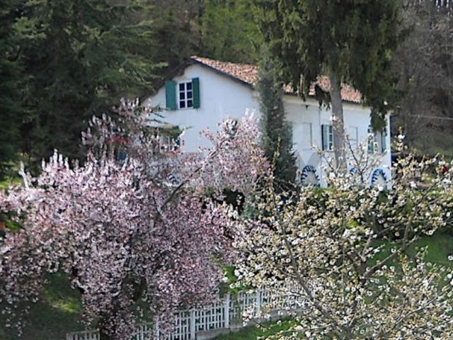 Casa Indipendente in vendita a San Michele Mondov, San Paolo