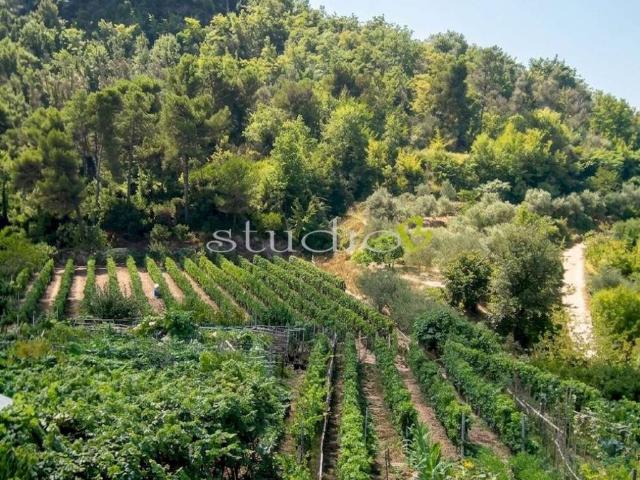 Casa indipendente in vendita a San Biagio della Cima IM