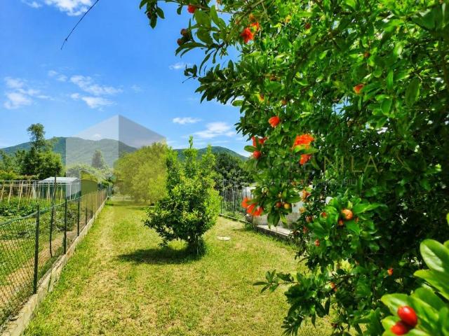 Casa indipendente in vendita a San Giuliano Terme PI