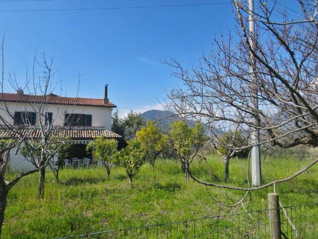 Casa indipendente in vendita a San Lorenzello BN