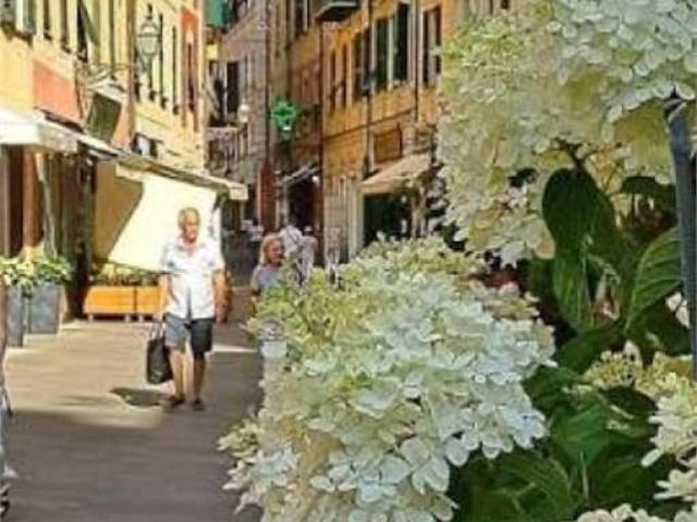 Casa indipendente in vendita a Santa Margherita Ligure GE