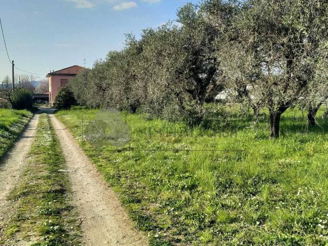 Casa indipendente in vendita a Sarzana