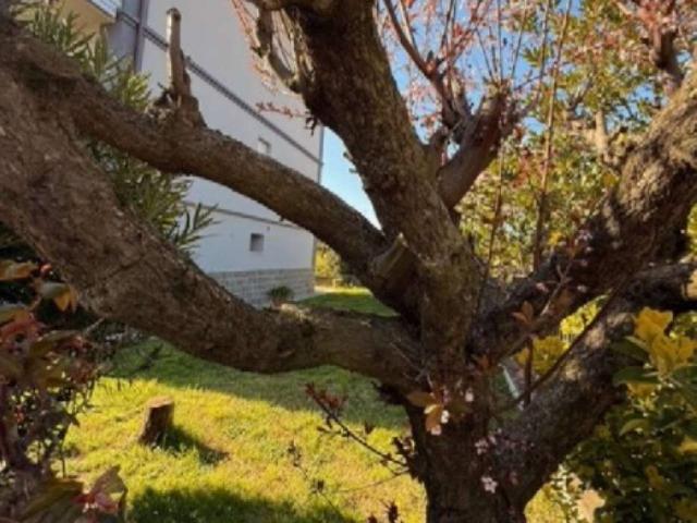 Casa indipendente in vendita a Sassuolo MO