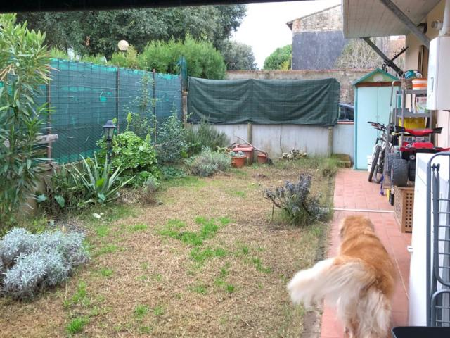 Casa indipendente in vendita a Scarlino